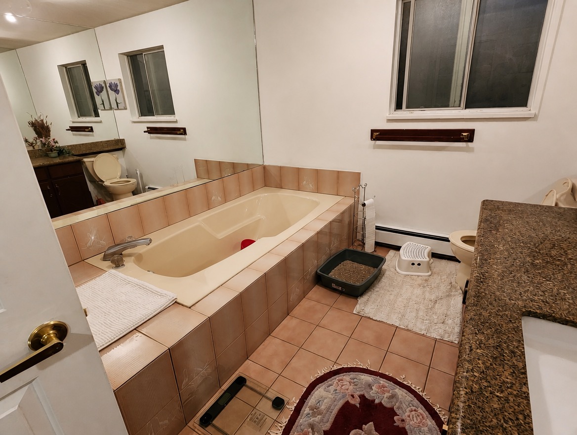 Bathroom before renovation