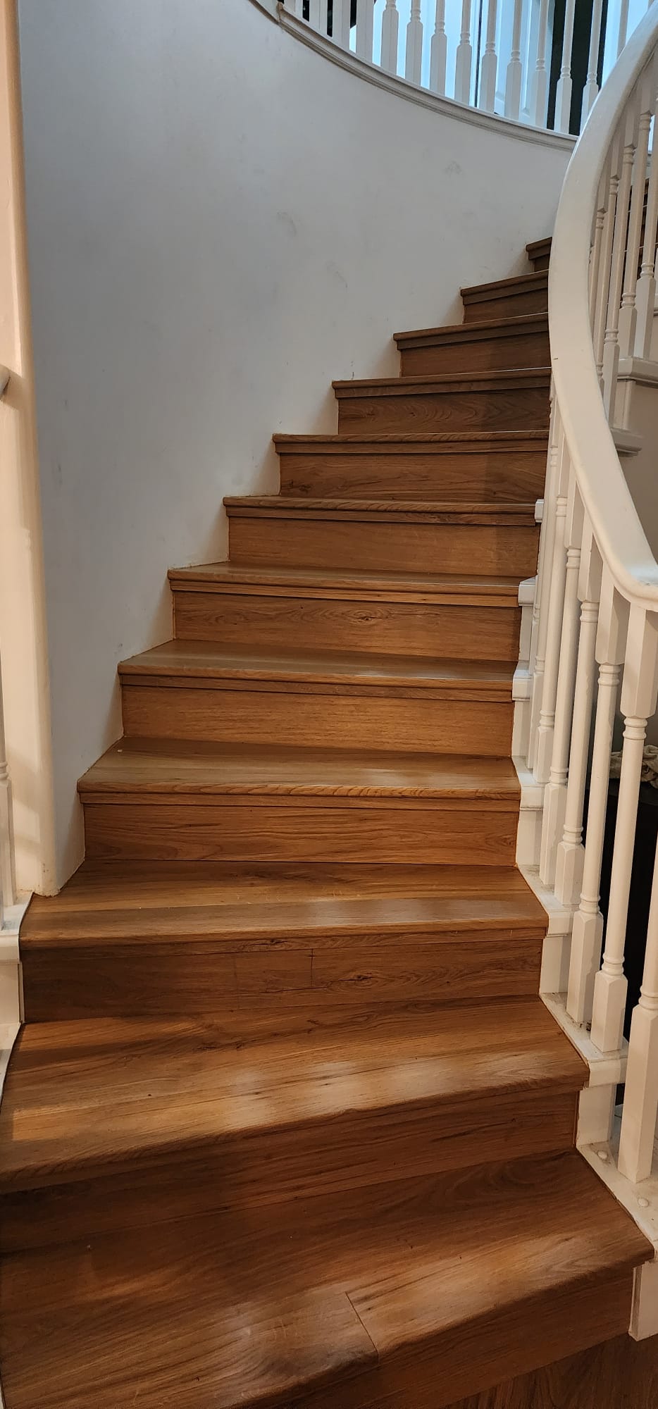 Curved staircase after — new solid wood treads and risers